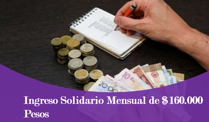 Ingreso Solidario